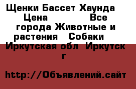 Щенки Бассет Хаунда  › Цена ­ 25 000 - Все города Животные и растения » Собаки   . Иркутская обл.,Иркутск г.